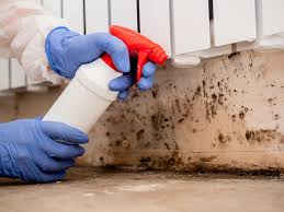 Mold Remediation for Rental Properties in Runaway Bay, TX